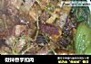 微辣香芋扣肉的做法