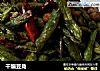 干煸豆角的做法