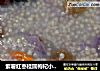 紫薯红枣桂圆枸杞小米粥的做法