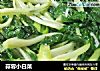 蒜蓉小白菜的做法
