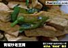 青椒炒老豆腐的做法