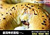 最简单的面包---------------豆沙贝果的做法