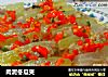 肉泥冬瓜夹的做法