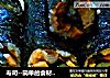 寿司的做法