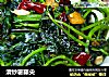 清炒薯藤尖的做法