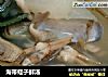 海带蛏子鲜汤的做法