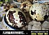 儿时最美好的回忆，一口一个的‘盐焗鸟蛋’的做法