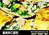 韭菜虾仁蛋饺的做法