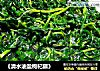 《清水油盐枸杞藤》的做法