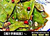 【鲍汁手撕扁豆】--真正无公害的素菜的做法