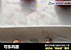 可乐鸡翅的做法