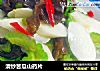 清炒苦瓜山药片的做法