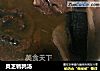 灵芝鹌鹑汤的做法