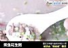 柴鱼花生粥的做法