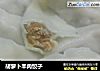 胡萝卜羊肉饺子的做法