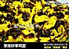 芽菜炒笨鸡蛋的做法