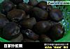 自家炒板栗的做法