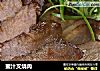蜜汁叉烧肉的做法