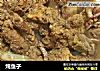 炖鱼子的做法