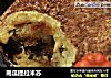 南瓜提拉米苏的做法