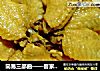 简易三部曲——客家盐焗鸡翅的做法