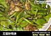 刀豆炒鸡块的做法