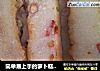 简单易上手的萝卜糕——回忆儿时的味道的做法