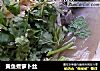 黄鱼煮萝卜丝的做法