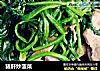 猪肝炒菠菜的做法