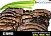 五香烤肉的做法