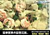 简单营养の蒜香花菜虾仁的做法