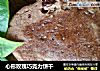 心形玫瑰巧克力饼干的做法