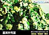韭菜炒鸡蛋的做法
