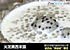 火龙果西米露的做法