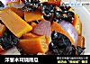 洋葱木耳烧南瓜的做法