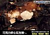 巧克力軟心花生糖-士力架的做法