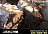 巧克力花生糖的做法