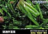 猪油炒菠菜的做法