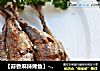 【蒜香麻辣烤鱼】---烤箱也可以做菜的做法