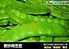 素炒荷兰豆的做法