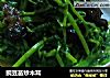 豌豆苗炒木耳的做法