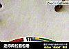 迷你肉松面包卷的做法