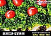 西兰花沙拉苹果树的做法