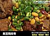 黄豆烧排骨的做法