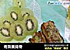 奇异果排骨的做法