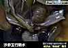沙参玉竹糖水的做法
