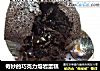奇妙的巧克力熔岩蛋糕的做法
