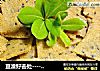 豆渣好去处-------【豆渣小米锅巴】的做法