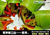 青笋卷三丝——营养更美味的做法