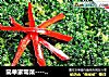 简单家常菜--------【蚝油西兰花】的做法